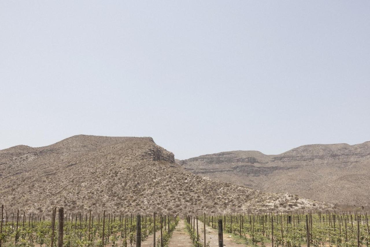ホテル Tierra Maria Cuatrociénegas de Carranza エクステリア 写真